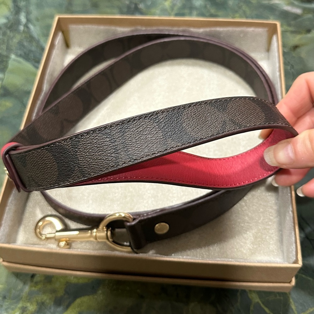 COACH PET DOG COLLAR AND LEASH set brown black red apple New Pretty last set - Picture 12 of 16